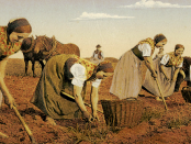 Sorbisches Museum: "Archäologischen Funden aus der Lausitz"