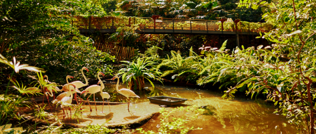 Screenshot tropical-islands.de