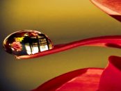 Räumlichkeiten der Sorbischen Kulturinfomation - "Wechselnde Ausstellungen regionaler Künstler"