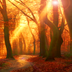 Rothenburger Stadtpark: "Erlebnisreiche Stunden beim Studium der Natur oder und Entspannung beim Spaziergang" Rothenburger Stadtpark: "Erlebnisreiche Stunden beim Studium der Natur oder und Entspannung beim Spaziergang"