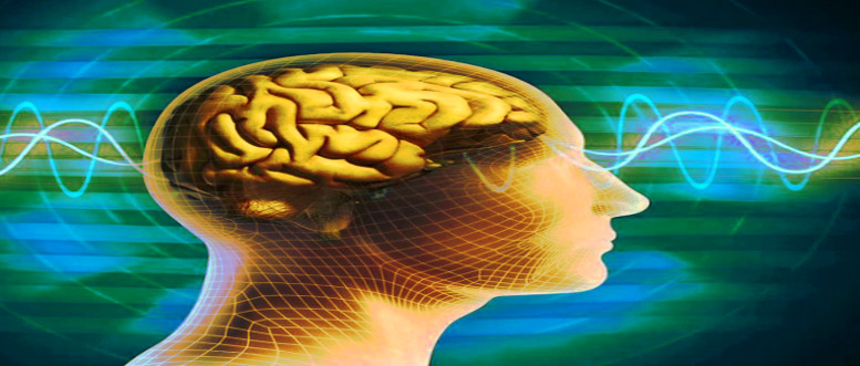 Der Zwang zum Fleischverzicht & ein Soziales Punktesystem: "Essen ist nicht nur Privatsache"