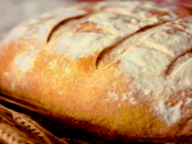 Lausitzer Landwirtschaft und Handwerk: Vom Getreide zum Brot