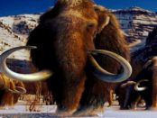 Slawen: „Bereits vor 35.000 Jahren in den böhmischen Eiszeitsteppen Mammuts jagten“
