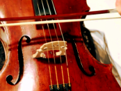 „Als besonderes Instrument“ – Die Sorbische Geige aus der Lausitz