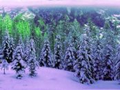 Winterwandern zwischen Oybin und „Lausitzer Matterhorn“