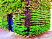 3D-Druck: Warum der Vertikale Garten die dritte Dimension des Pflanzenwachstums nutzt