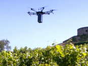 Drohne und Landwirtschaft: Ein fliegendes Lasersystem soll Pilzbefall im Weinbau aufspüren