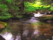 "Unterspreewald mit Schlepzig" - "Landschaft ist durchzogen von zahlreichen idyllischen Fließen"