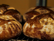 "Unser täglich Brot gib uns heute" - Biosprit statt Brot: Wenn der volle Tank gegen den leeren Teller antritt