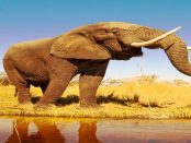 Europa: "Warmzeiten im Pleistozän" -"Sumpfschildkröte, Höhlenlöwe, Waldelefant, Waldnashorn, Mammut und Ren"